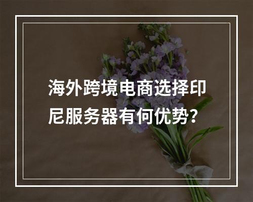海外跨境电商选择印尼服务器有何优势?