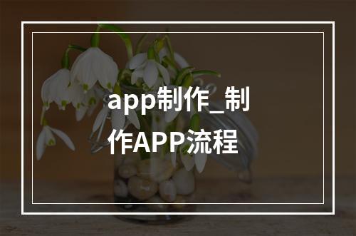 app制作_制作APP流程