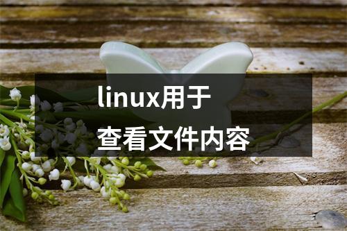 linux用于查看文件内容