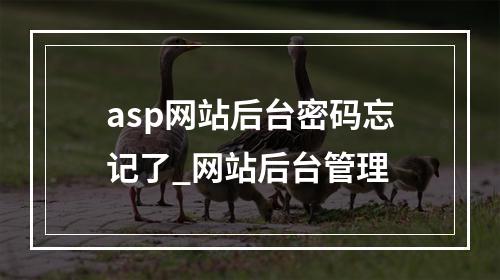 asp网站后台密码忘记了_网站后台管理