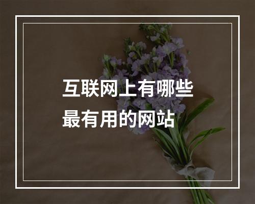 互联网上有哪些最有用的网站