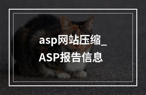asp网站压缩_ASP报告信息