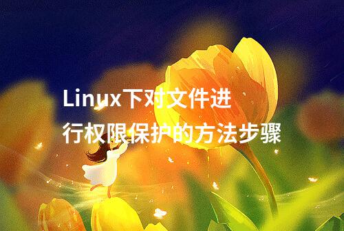 Linux下对文件进行权限保护的方法步骤