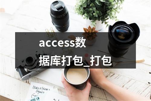 access数据库打包_打包