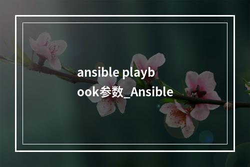 ansible playbook参数_Ansible