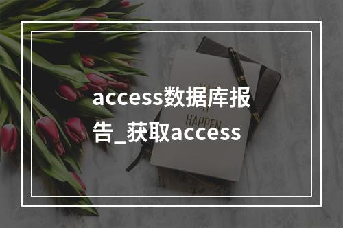 access数据库报告_获取access