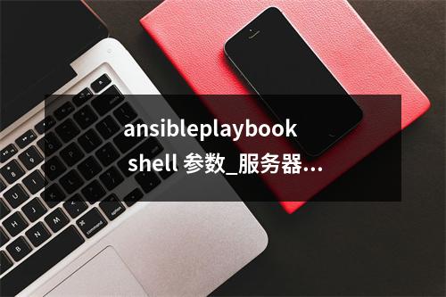 ansibleplaybook shell 参数_服务器初始化