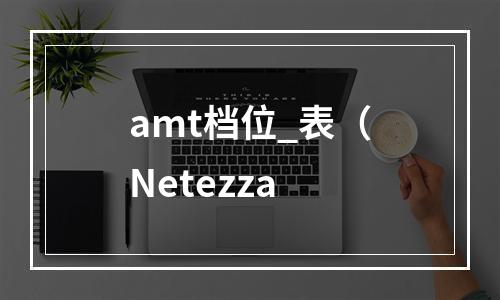 amt档位_表(Netezza