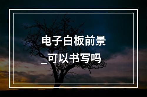 电子白板前景_可以书写吗