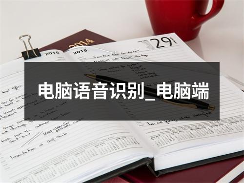 电脑语音识别_电脑端