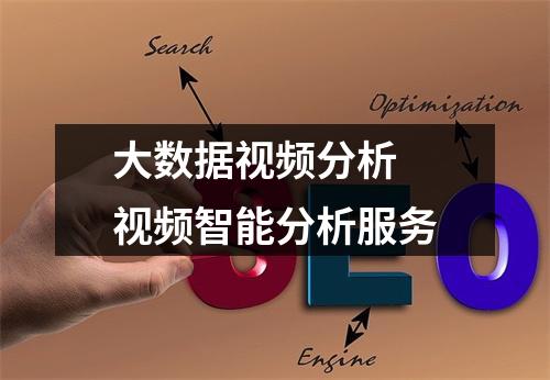 大数据视频分析 视频智能分析服务