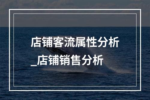 店铺客流属性分析_店铺销售分析