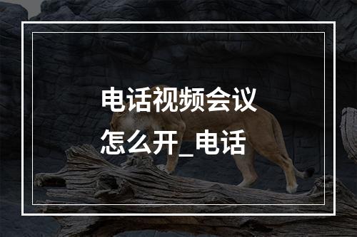 电话视频会议怎么开_电话