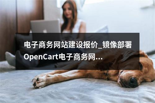 电子商务网站建设报价_镜像部署OpenCart电子商务网站(Linux)