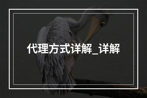 代理方式详解_详解
