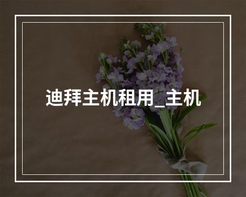 迪拜主机租用_主机