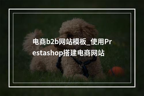 电商b2b网站模板_使用Prestashop搭建电商网站