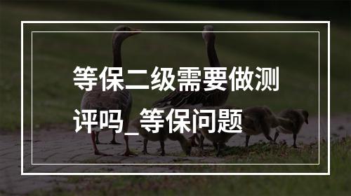 等保二级需要做测评吗_等保问题