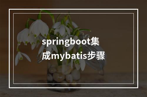 springboot集成mybatis步骤