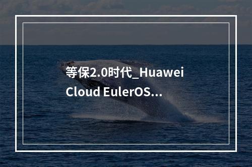 等保2.0时代_Huawei Cloud EulerOS 2.0等保2.0三级版镜像