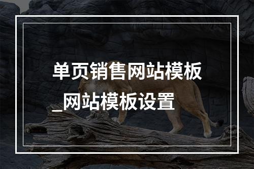 单页销售网站模板_网站模板设置