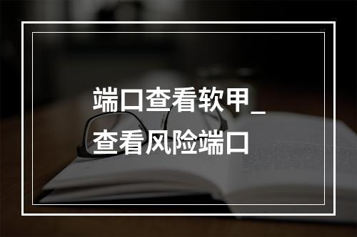 端口查看软甲_查看风险端口
