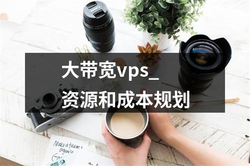 大带宽vps_资源和成本规划