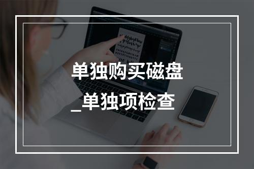 单独购买磁盘_单独项检查
