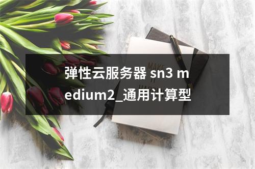 弹性云服务器 sn3 medium2_通用计算型