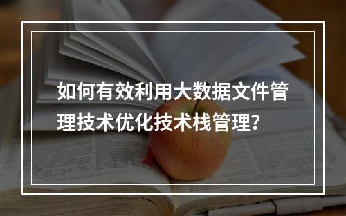 如何有效利用大数据文件管理技术优化技术栈管理?