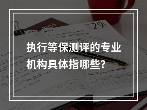 执行等保测评的专业机构具体指哪些?