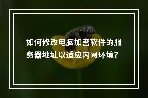 如何修改电脑加密软件的服务器地址以适应内网环境?