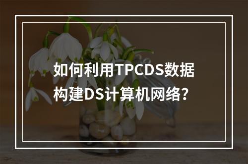 如何利用TPCDS数据构建DS计算机网络?