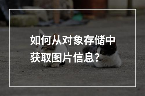 如何从对象存储中获取图片信息?