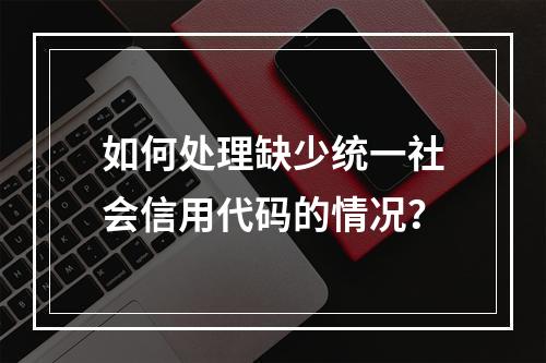 如何处理缺少统一社会信用代码的情况?