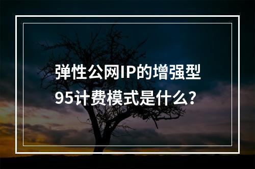 弹性公网IP的增强型95计费模式是什么?