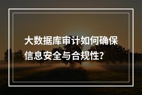 大数据库审计如何确保信息安全与合规性?