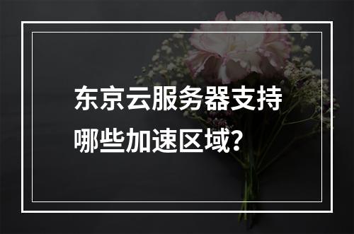 东京云服务器支持哪些加速区域?