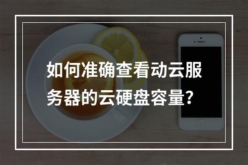 如何准确查看动云服务器的云硬盘容量?