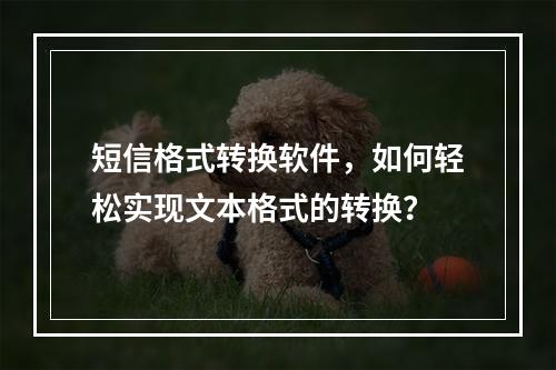 短信格式转换软件,如何轻松实现文本格式的转换?