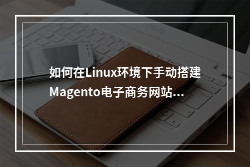 如何在Linux环境下手动搭建Magento电子商务网站?