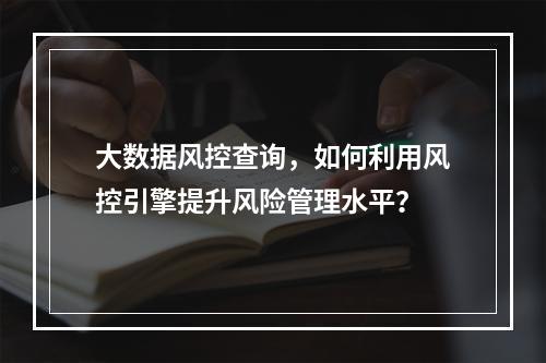 大数据风控查询,如何利用风控引擎提升风险管理水平?