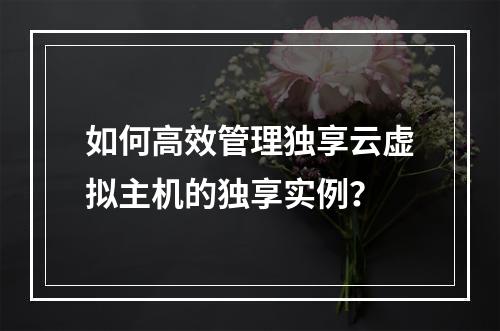 如何高效管理独享云虚拟主机的独享实例?