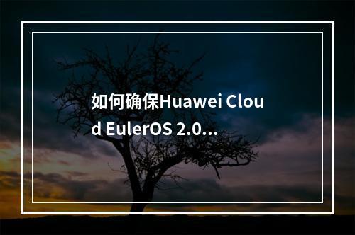如何确保Huawei Cloud EulerOS 2.0满足等保2.0二级和三级的安全要求?