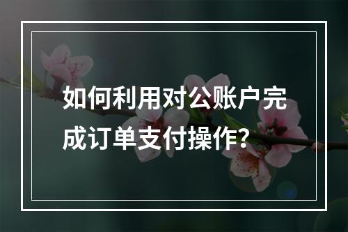 如何利用对公账户完成订单支付操作?