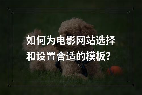 如何为电影网站选择和设置合适的模板?