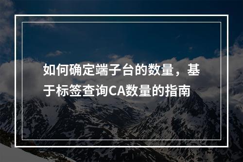 如何确定端子台的数量,基于标签查询CA数量的指南