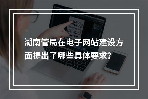 湖南管局在电子网站建设方面提出了哪些具体要求?