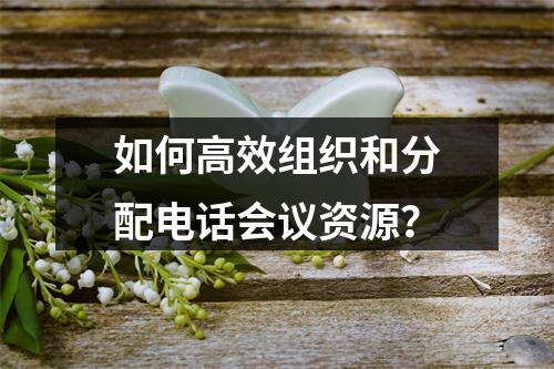 如何高效组织和分配电话会议资源?