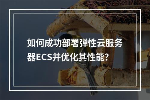 如何成功部署弹性云服务器ECS并优化其性能?